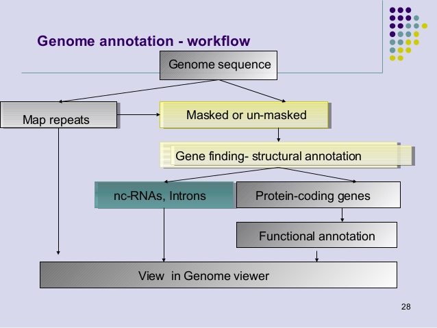 what is genomic annotation
